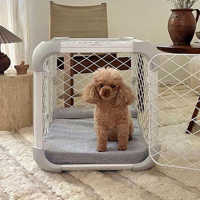 Diggs Bolstr Orthopedic Dog Crate Bed | Memory Foam + Bolster Headrest | Machine Washable | Small