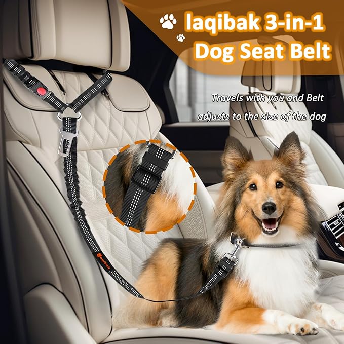 3-in-1 Dog Car Seat Belt Harness – Reflective Bungee Leash & Headrest Tether (2-Pack, Black)
