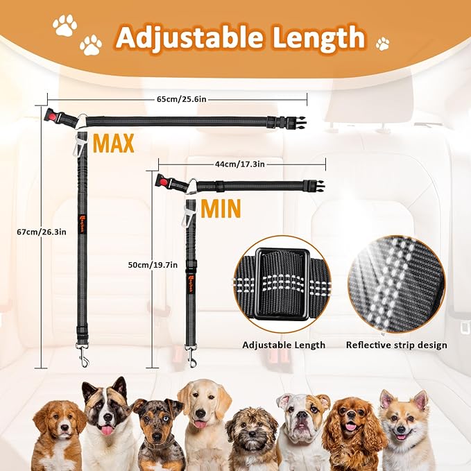 3-in-1 Dog Car Seat Belt Harness – Reflective Bungee Leash & Headrest Tether (2-Pack, Black)