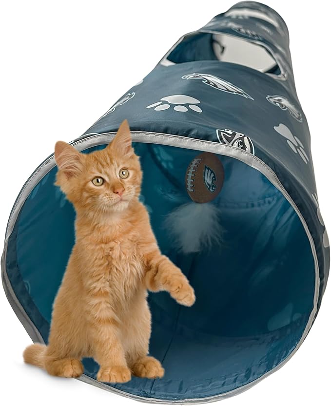 Philadelphia Eagles NFL Cat Tunnel with Catnip Football