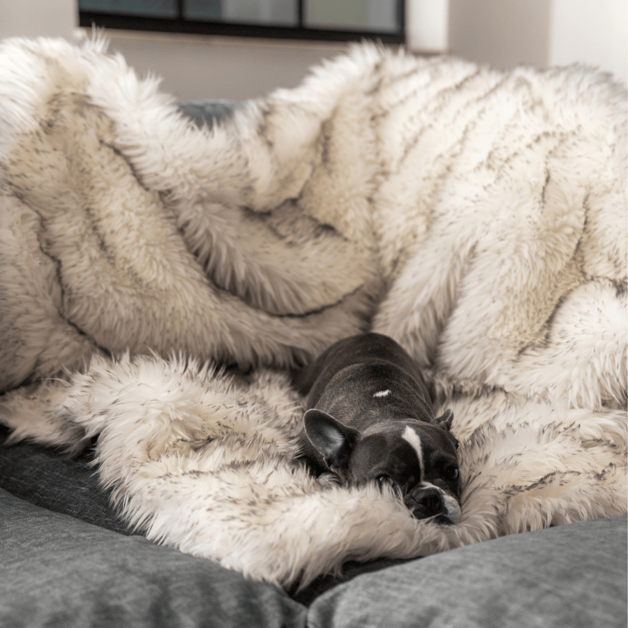 PupProtector™ Waterproof Throw Blanket | White with Brown Accents