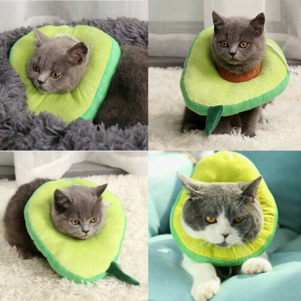 The Flauntly Paws Recovery Collar — Soft Elizabethan Cone for Cats & Kittens
