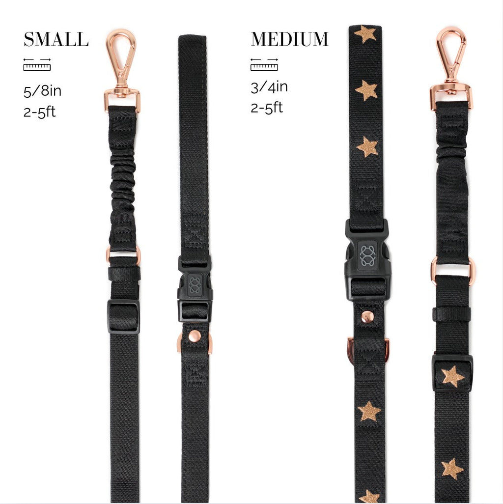 Dogistry 3-in-1 City Dog Leash — Rockstar