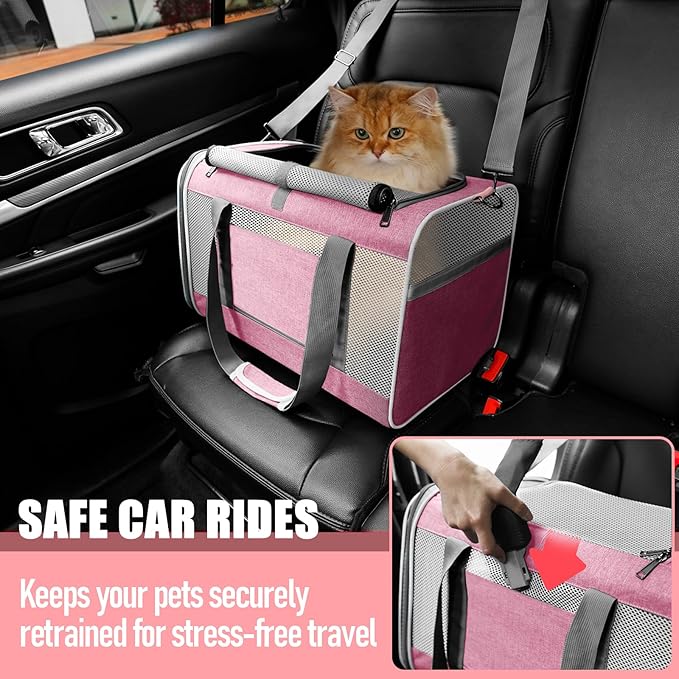 Soft-Sided Pet Travel Carrier | Up to 20 lbs | 5-Sided Mesh Ventilation