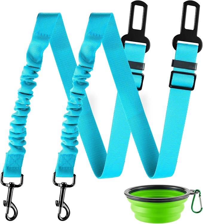 Retractable Dog Car Seat Belt – Adjustable Safety Harness Leash (2-Pack, Teal)
