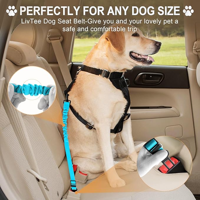 Retractable Dog Car Seat Belt – Adjustable Safety Harness Leash (2-Pack, Teal)