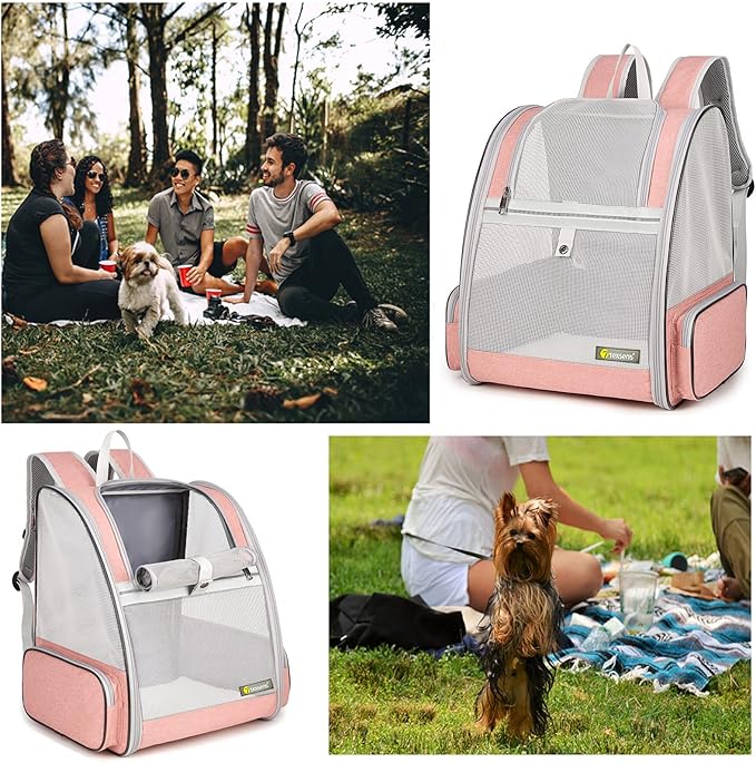 Bubble Window Pet Carrier Backpack | Cats & Dogs up to 18 lbs | Mesh Pink