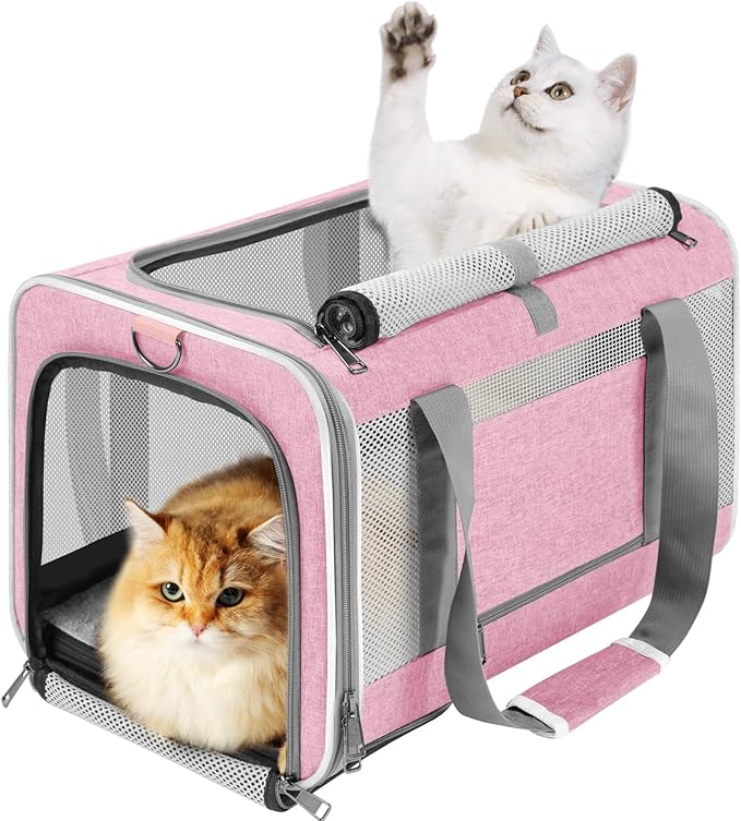 Soft-Sided Pet Travel Carrier | Up to 20 lbs | 5-Sided Mesh Ventilation