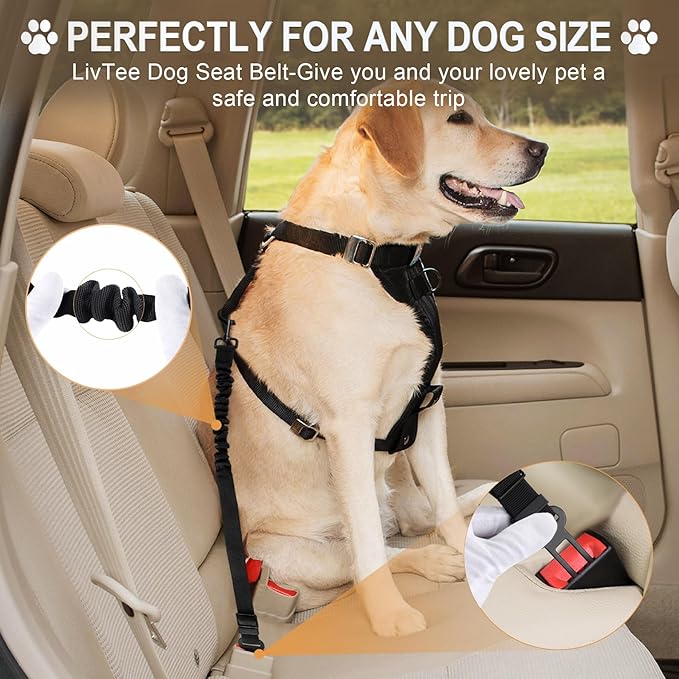 Retractable Dog Car Seat Belt – Adjustable Safety Harness Leash (Black)