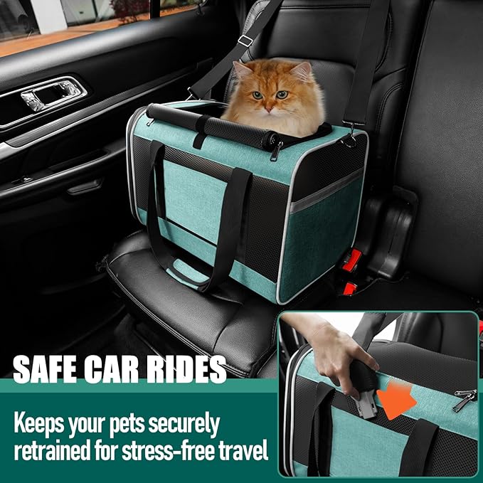 Soft-Sided Pet Travel Carrier | Up to 20 lbs | 5-Sided Mesh Ventilation | Turquoise