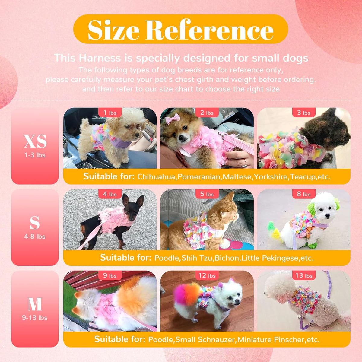 The Petal Bloom Harness & Leash Set