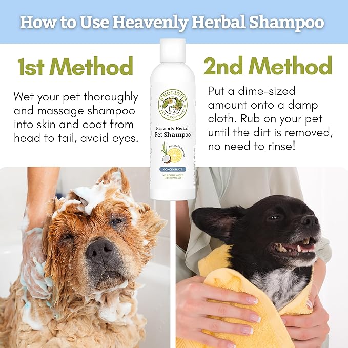 Heavenly Herbal Organic Pet Shampoo | 16 fl oz – For Dogs & Cats