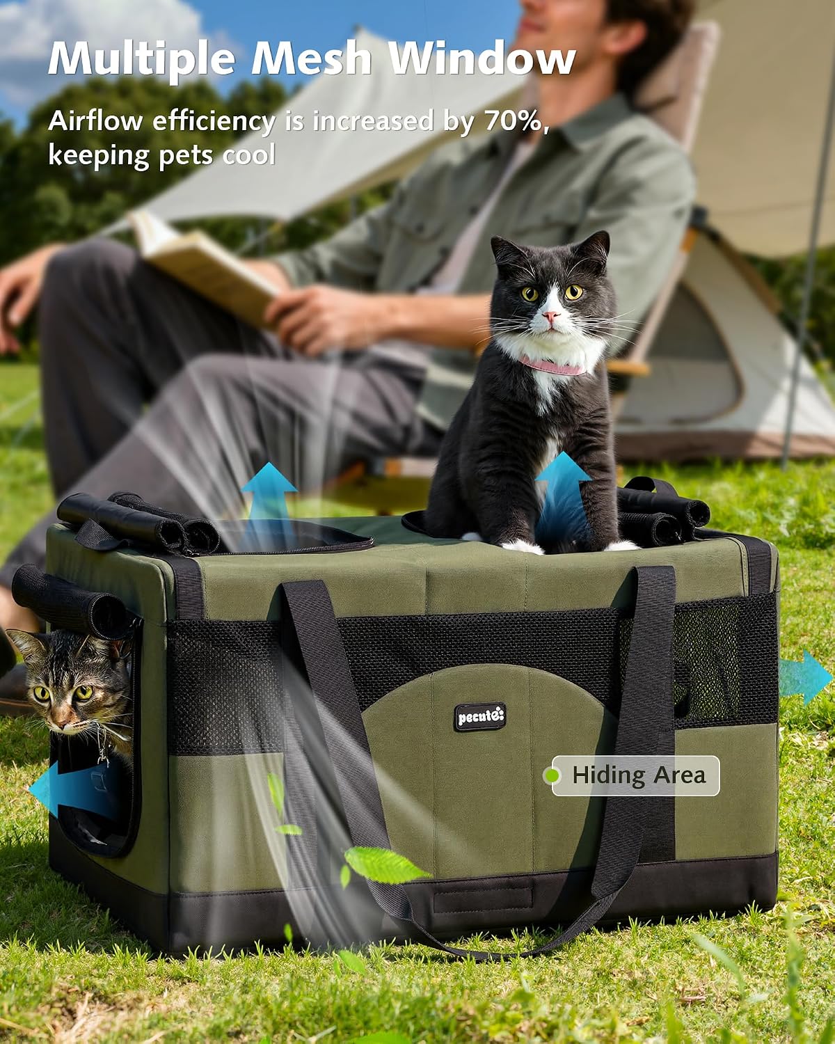 Double Cat Carrier with Removable Divider | Soft-Sided Travel Carrier for Two Cats