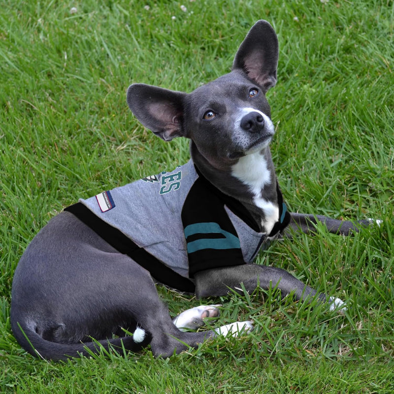 NFL Philadelphia Eagles Dog Hoodie Tee — Officially Licensed Pet Sweatshirt (XS–L)