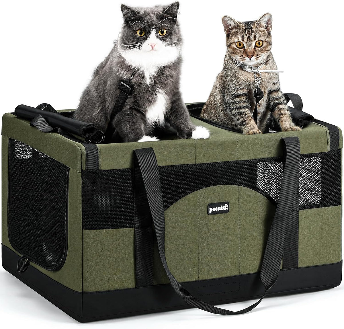 Double Cat Carrier with Removable Divider | Soft-Sided Travel Carrier for Two Cats