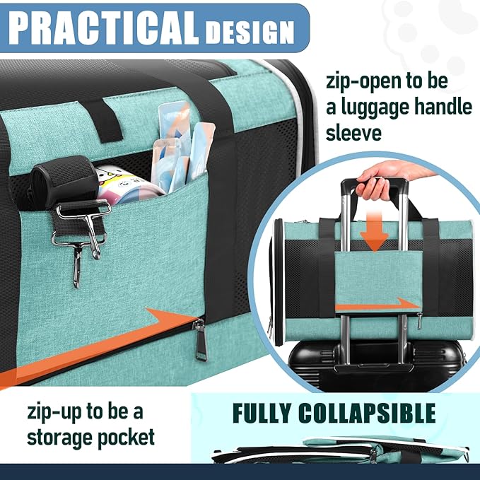 Soft-Sided Pet Travel Carrier | Up to 20 lbs | 5-Sided Mesh Ventilation | Turquoise