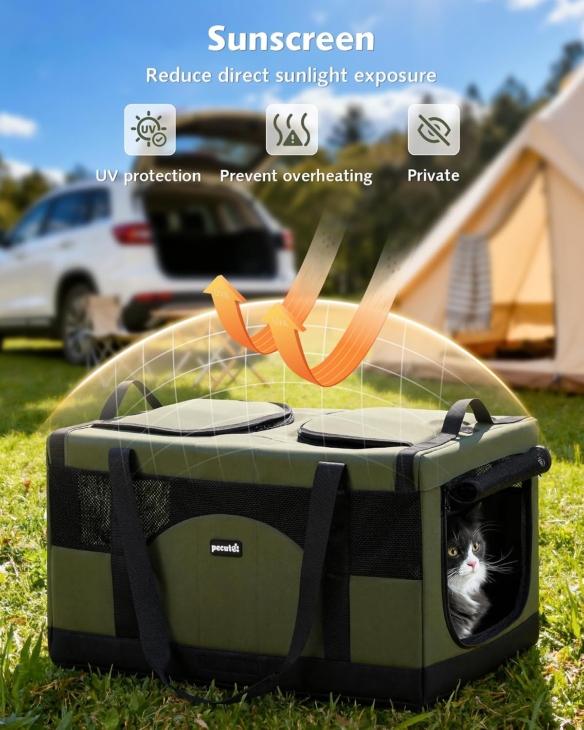 Double Cat Carrier with Removable Divider | Soft-Sided Travel Carrier for Two Cats