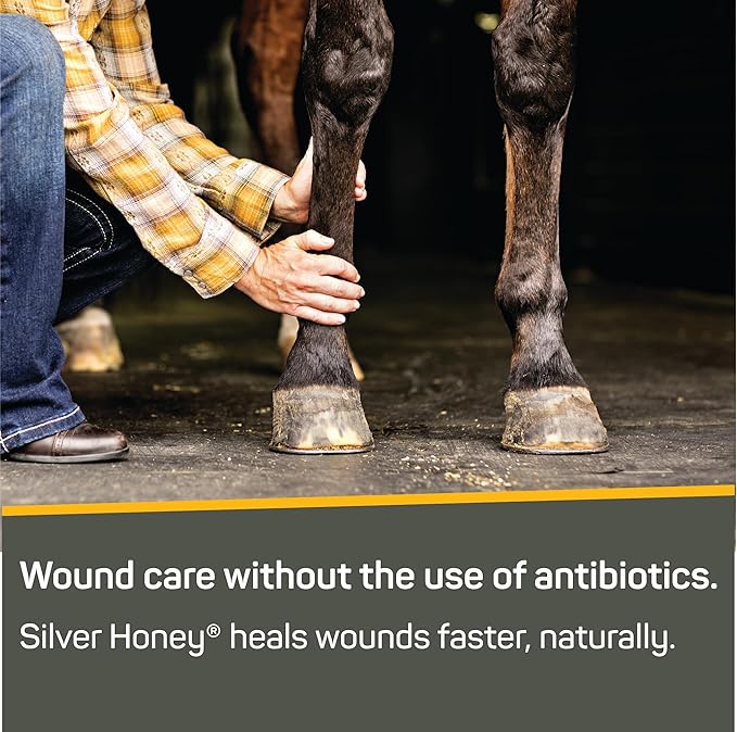Silver Honey Rapid Wound Repair Ointment | Manuka Honey & MicroSilver | 2oz