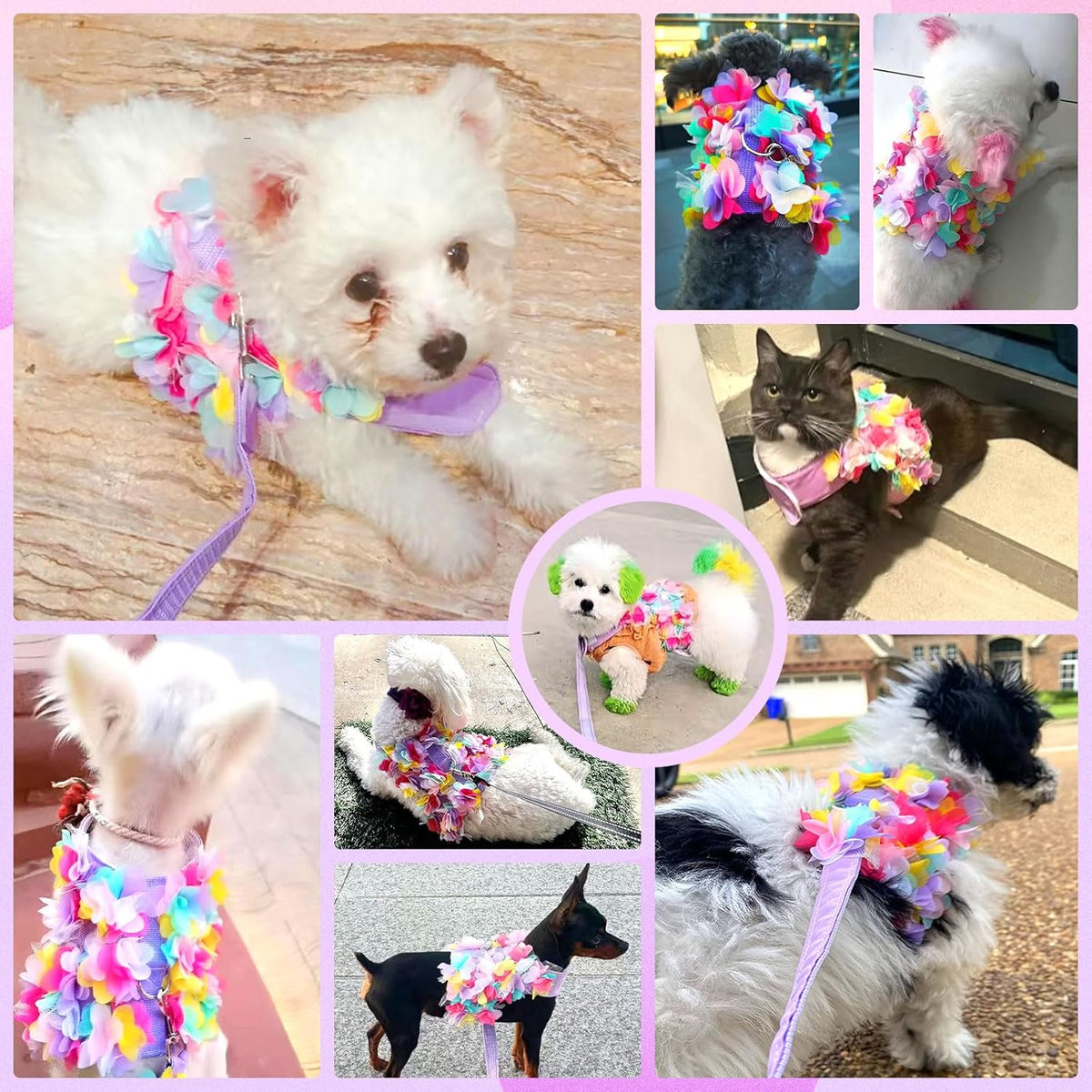 The Petal Bloom Harness & Leash Set