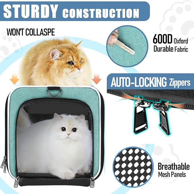 Soft-Sided Pet Travel Carrier | Up to 20 lbs | 5-Sided Mesh Ventilation | Turquoise