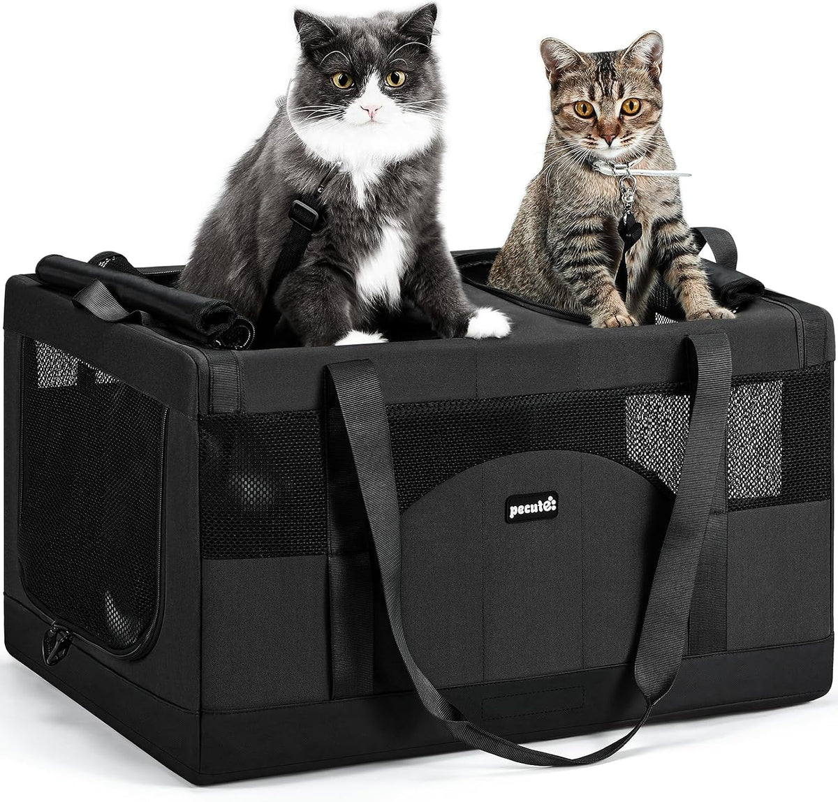 Double Cat Carrier with Removable Divider | Soft-Sided Travel Carrier for Two Cats