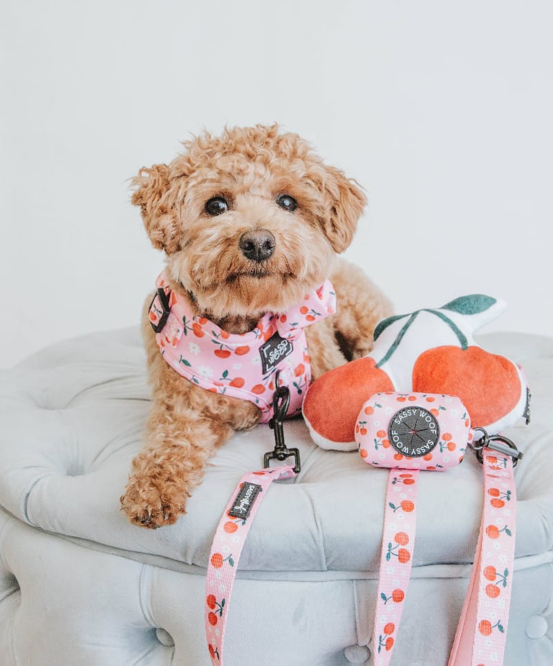 Mon Cherry Fruits Pink Dog Leash