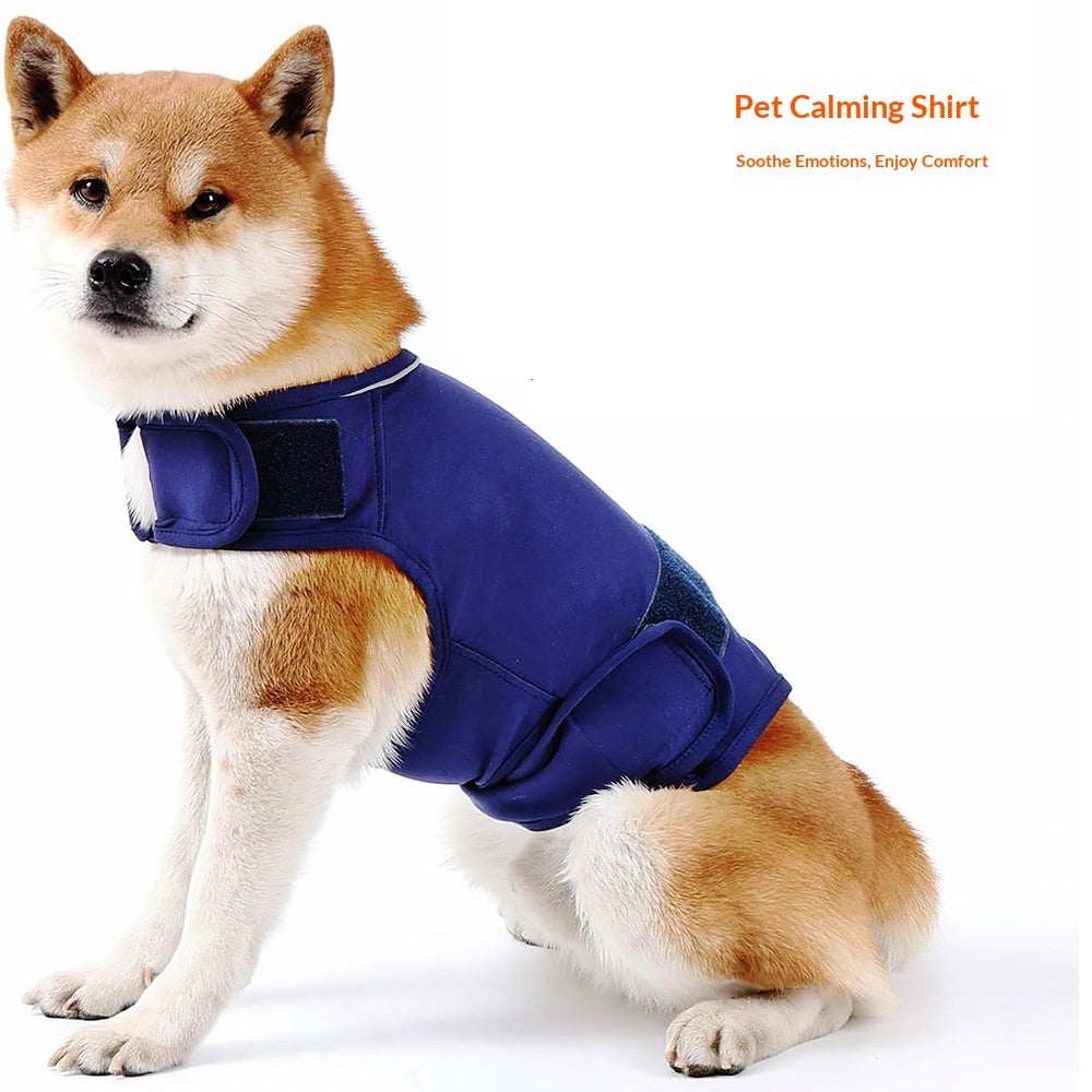 The Calm & Collected Vest