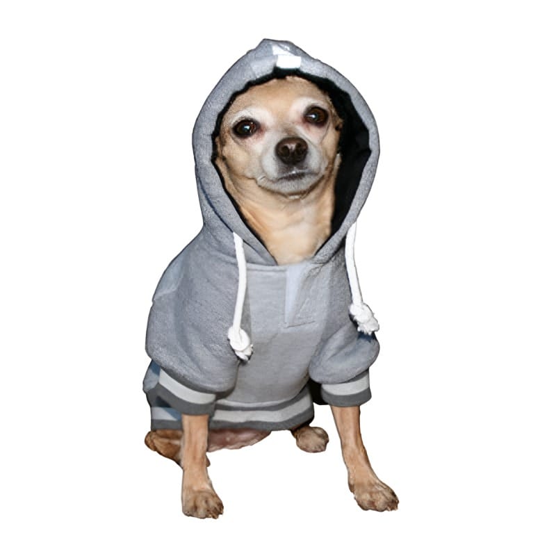 Raiders NFL Dog Hoodie