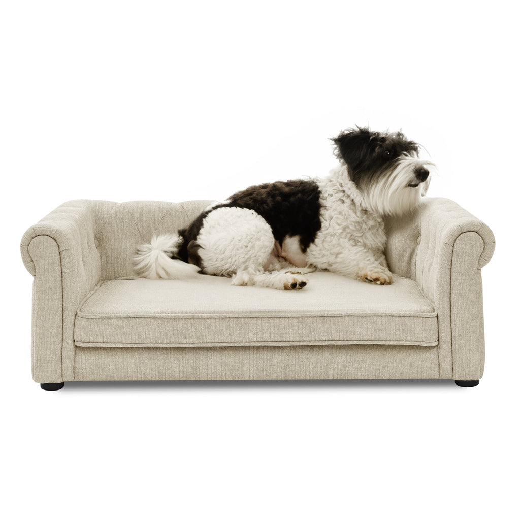 Elevated Pet Sofa Bed | Luxury Dog Couch for Medium & Large Dogs
