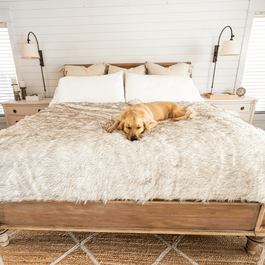PupProtector™ Waterproof Throw Blanket | White with Brown Accents
