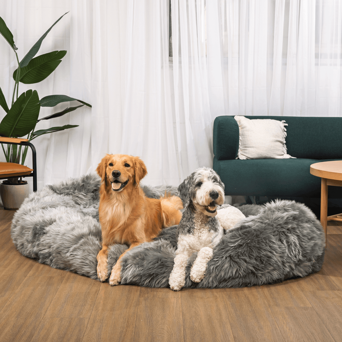 PupCloud™ Human-Size Faux Fur Memory Foam Dog Bed — Charcoal Grey