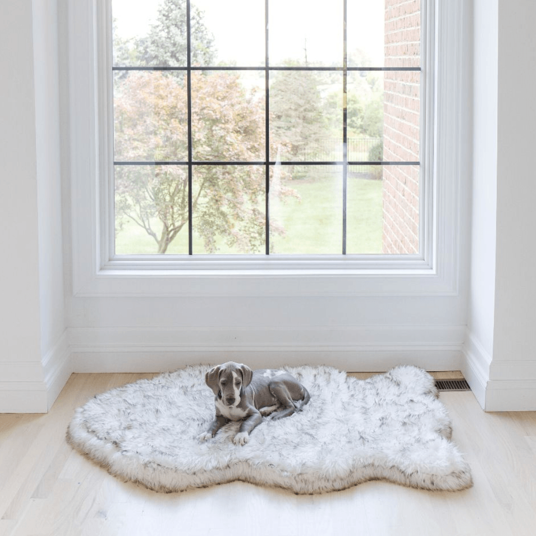 PupRug® Faux Fur Orthopedic Dog Bed | Curve White with Brown Accents