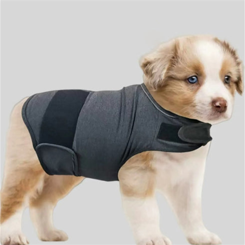 The Calm & Collected Vest