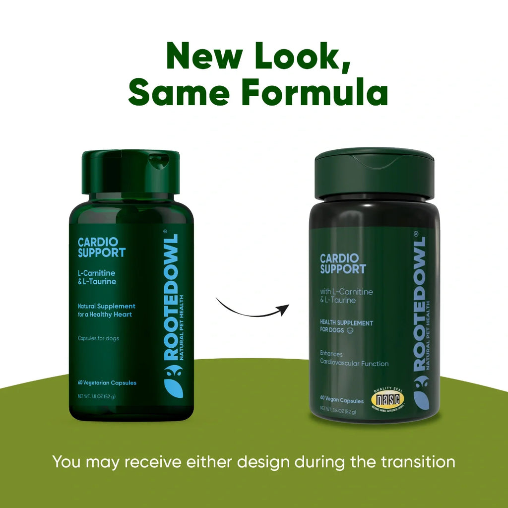 The Cardio Wellness Supplement