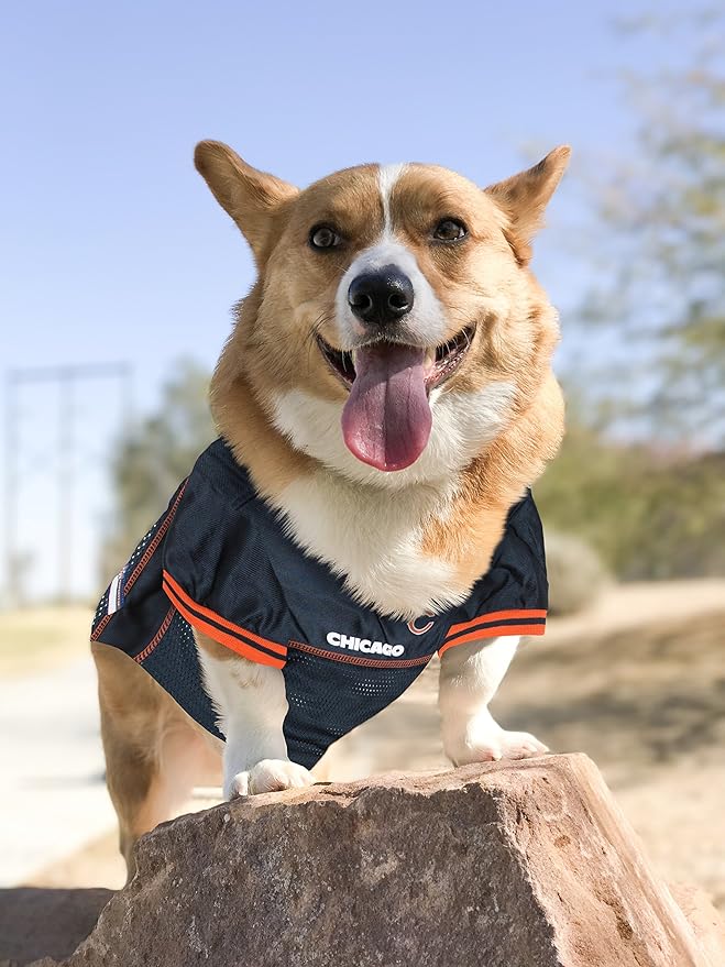 NFL Pet Jersey — Officially Licensed Dog & Cat Football Jersey (All 32 Teams)
