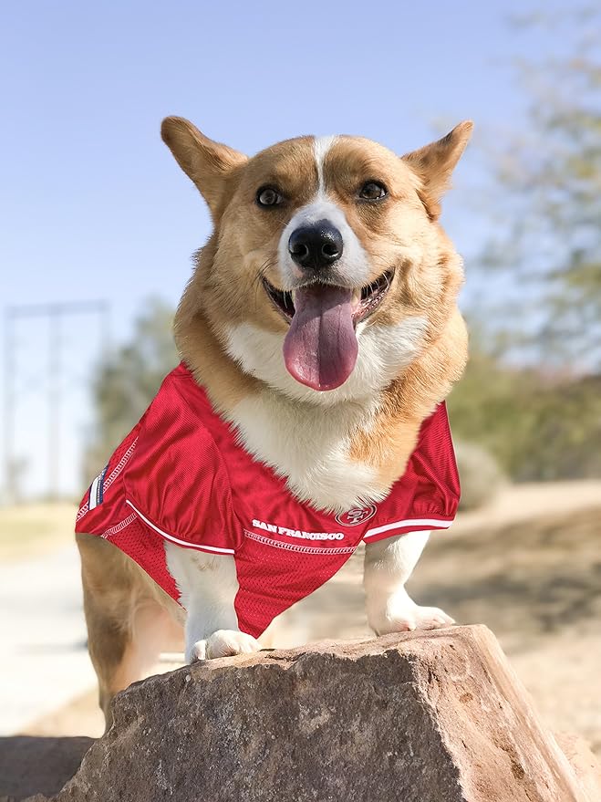 NFL Pet Jersey for Dogs & Cats | Officially Licensed Fan Gear