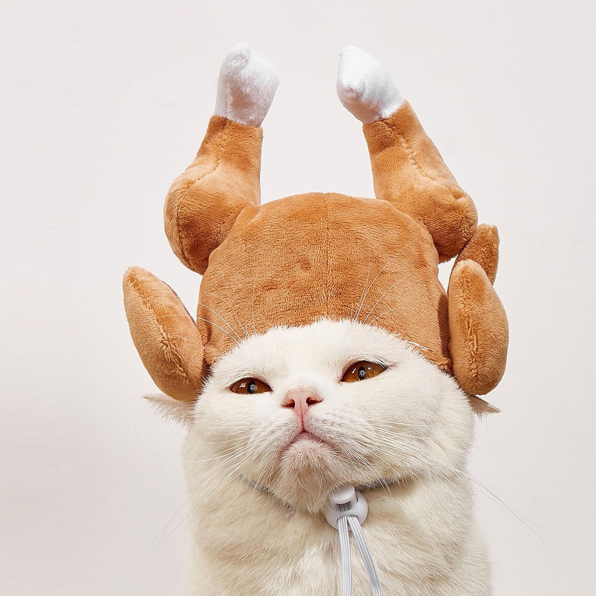 Plush Turkey Hat | Thanksgiving Costume Accessory for Pets & People