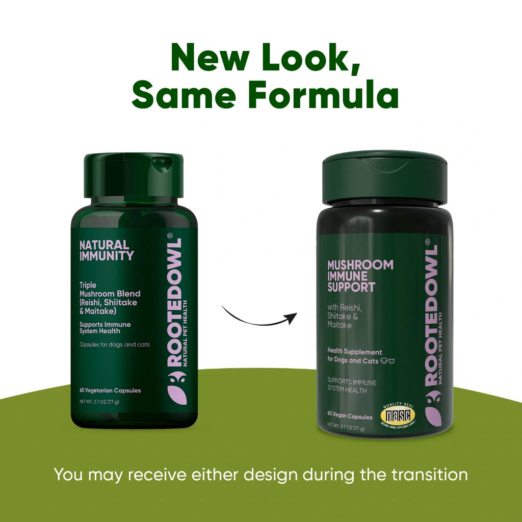 The Mushroom Immunity Blend