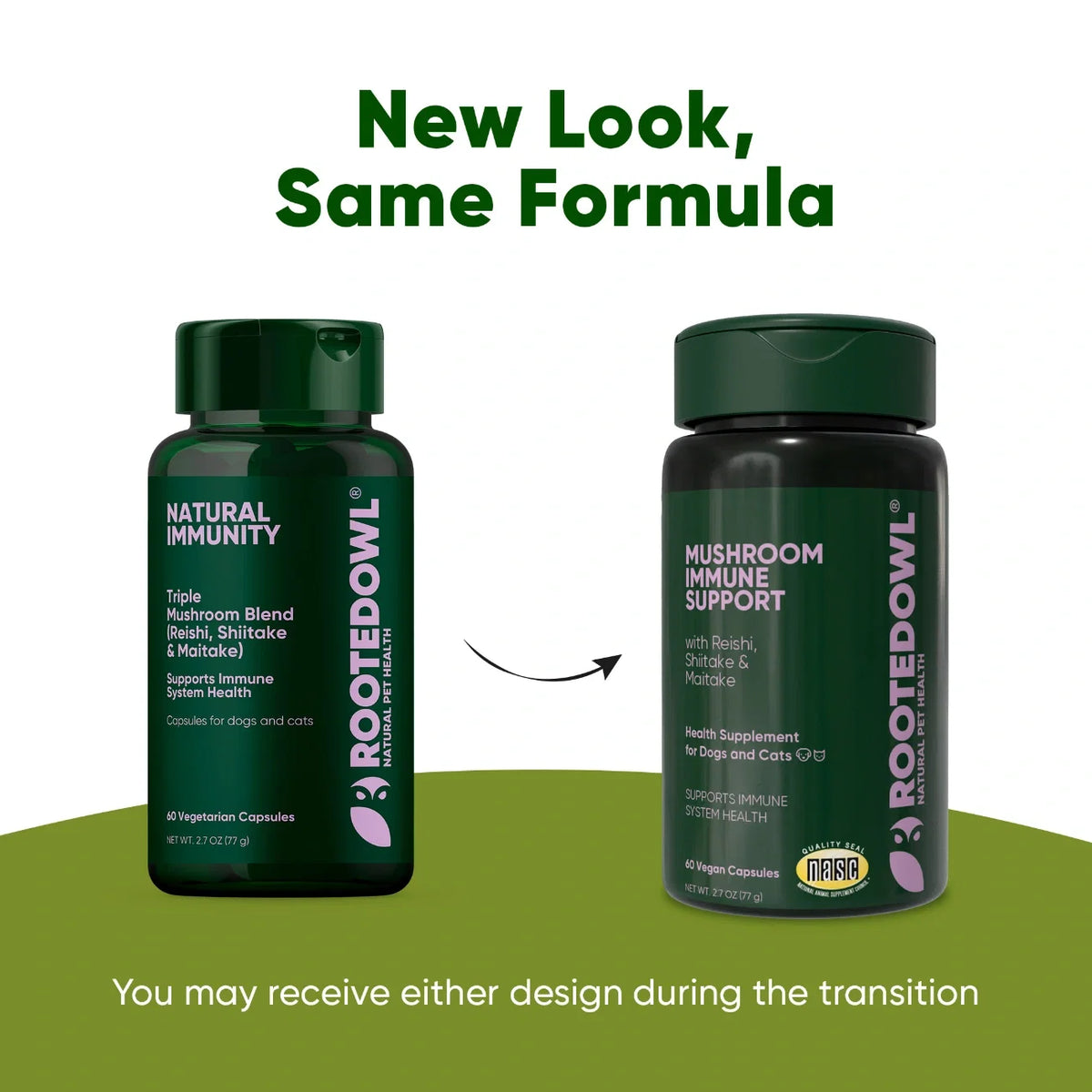 The Mushroom Immunity Blend