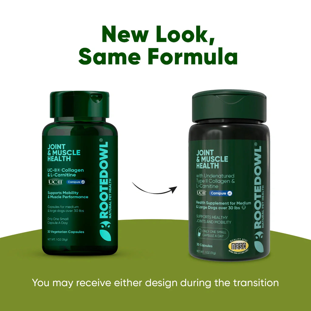 The Joint & Muscle Support