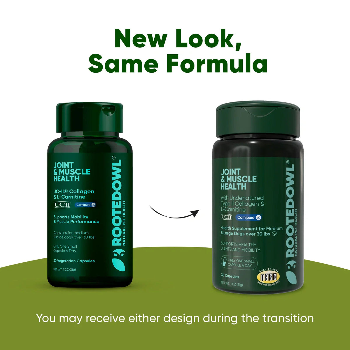 The Joint & Muscle Support