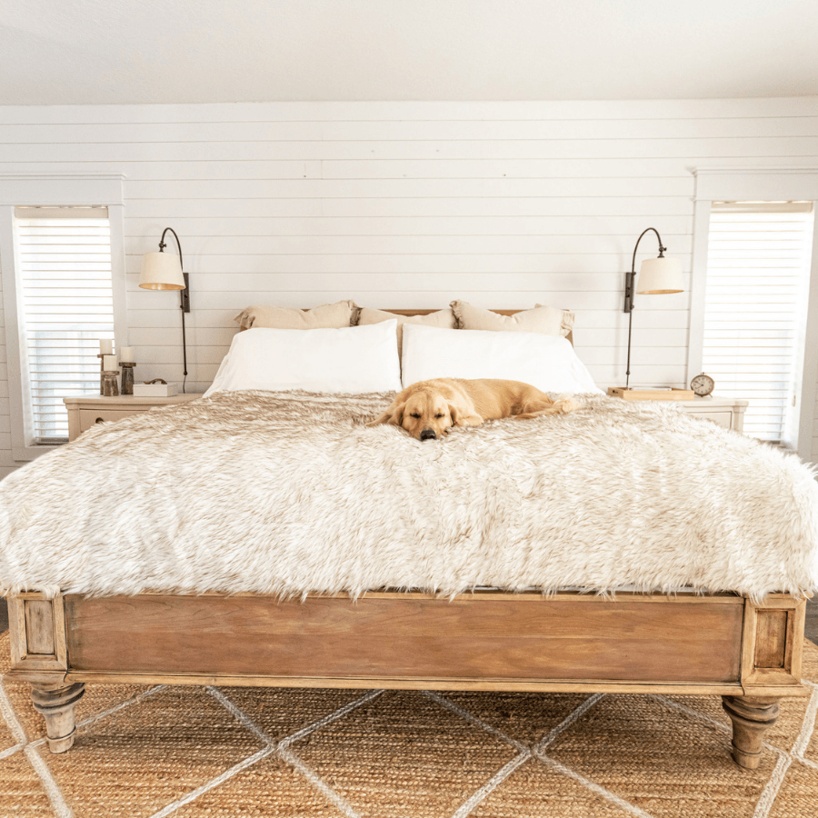 PupProtector™ Waterproof Throw Blanket | White with Brown Accents