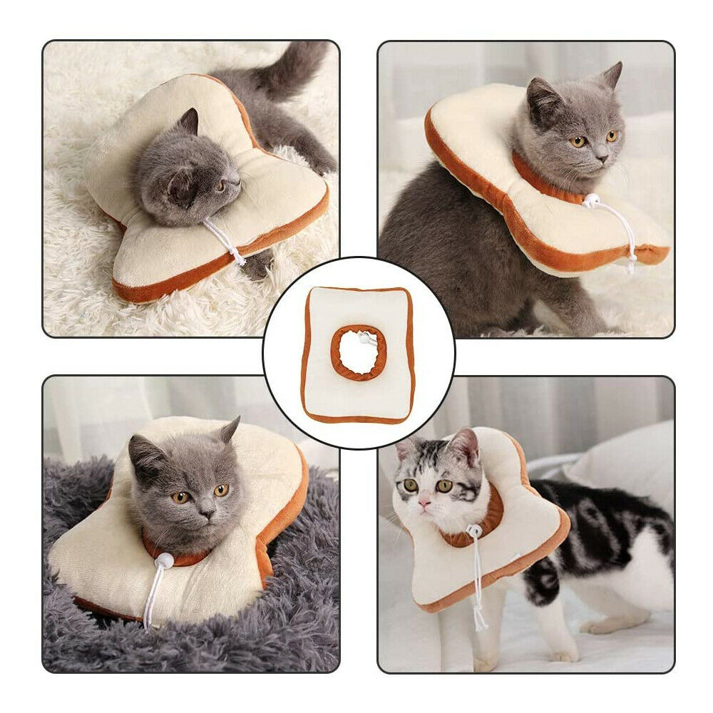 The Flauntly Paws Recovery Collar — Soft Elizabethan Cone for Cats & Kittens