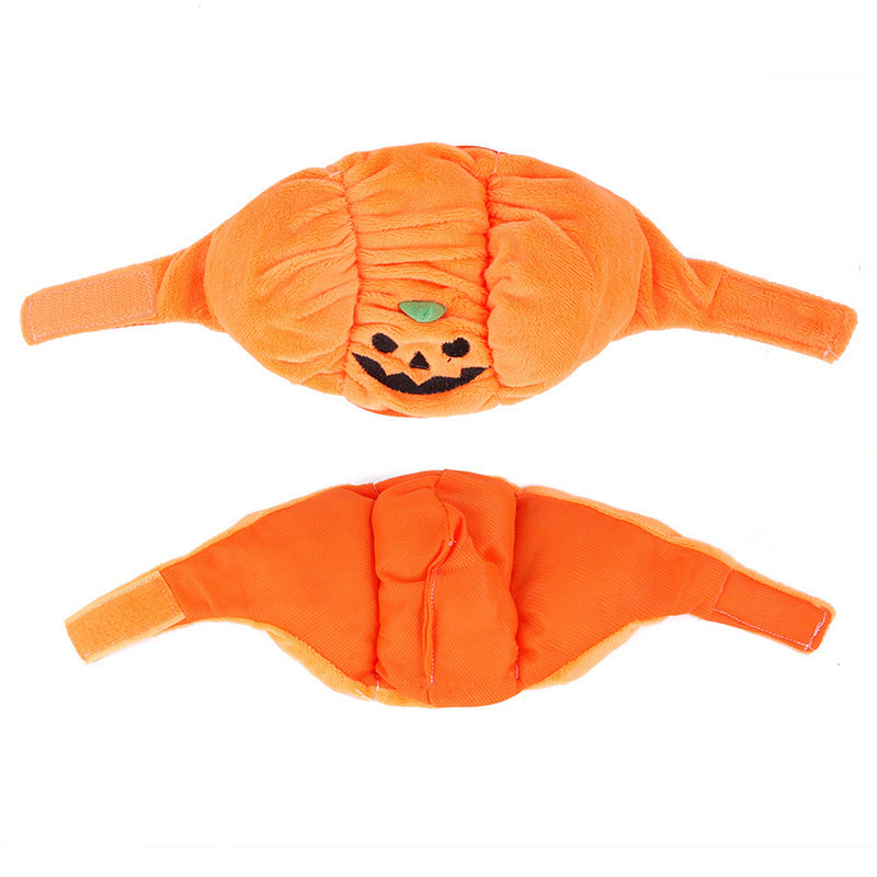 Halloween Pumpkin Head Hat for Dogs & Cats