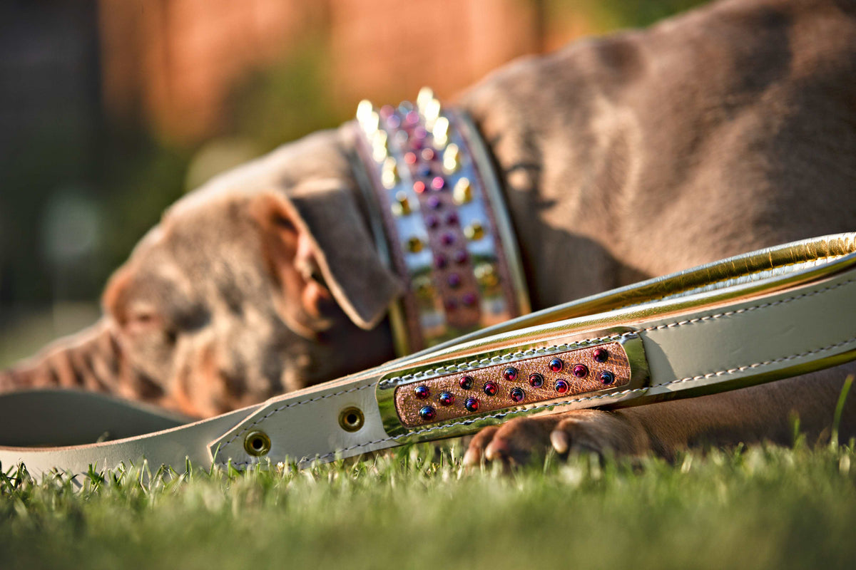 The Candy Collar