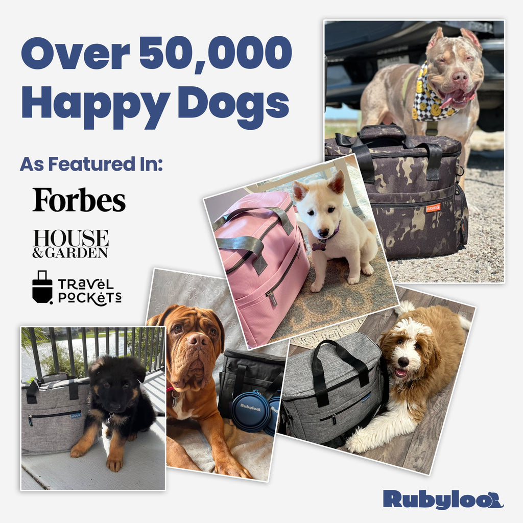 The Original Doggy Bag™ — Premium Dog Travel Bag