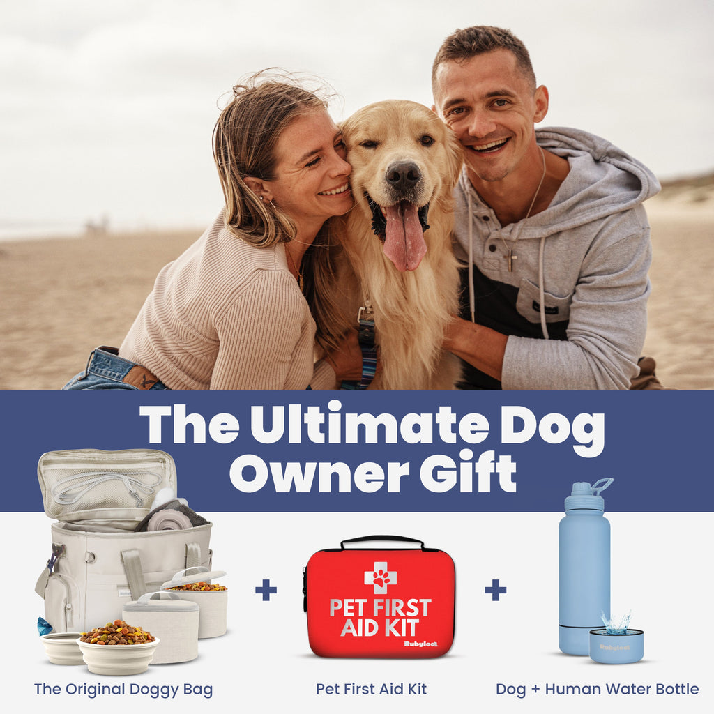 The Original Doggy Bag™ — Premium Dog Travel Bag