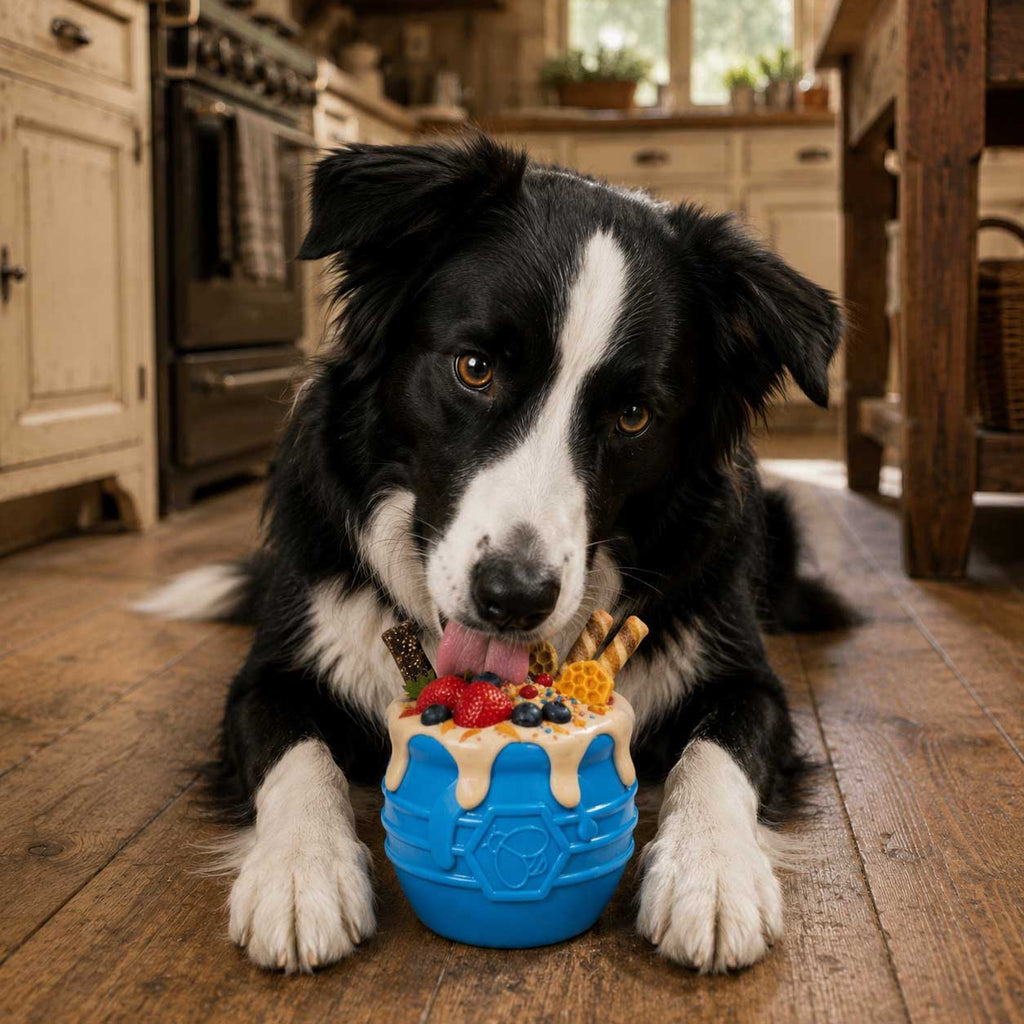 The Honey Pot Treat Dispenser