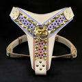 Flauntly Paws The Candy Leather Dog Harness