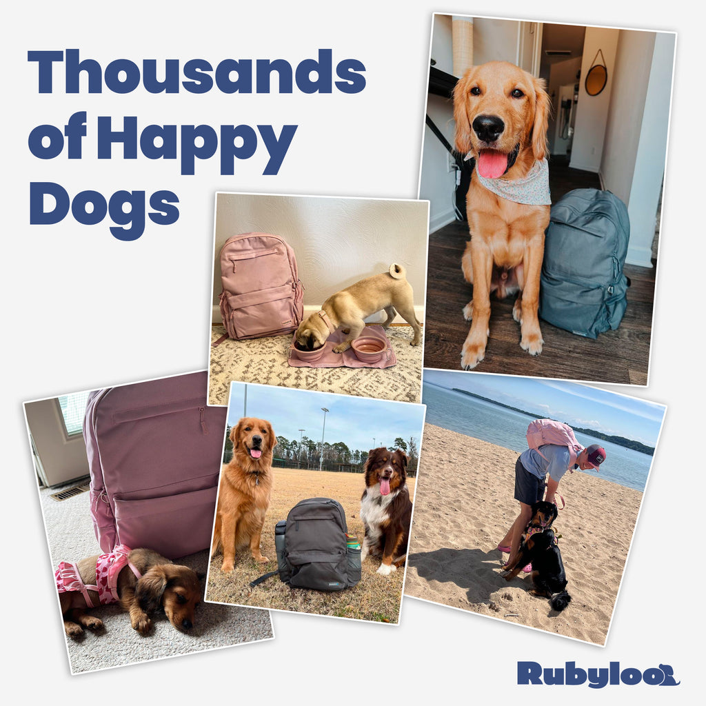 The Original Doggy Bag™ | 6-Piece Dog Supply Backpack | Carry-On Approved
